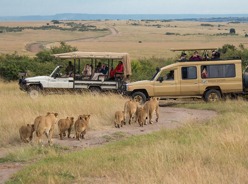 masai mara safari company