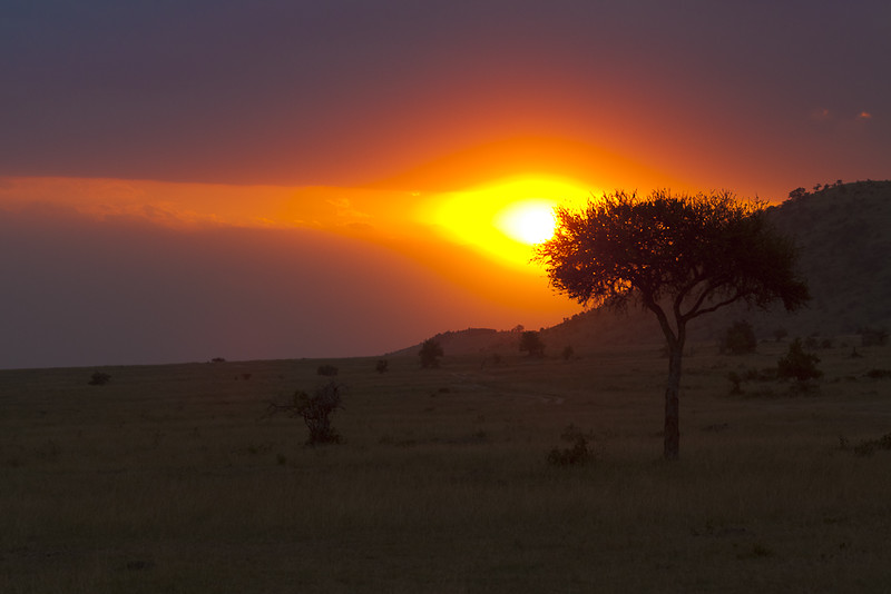 kenya safari sunset